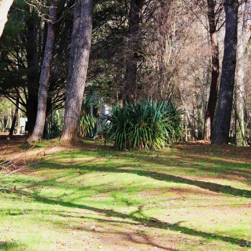 Alojamiento Rural en Cazalla de la Sierra para rutas por la naturaleza