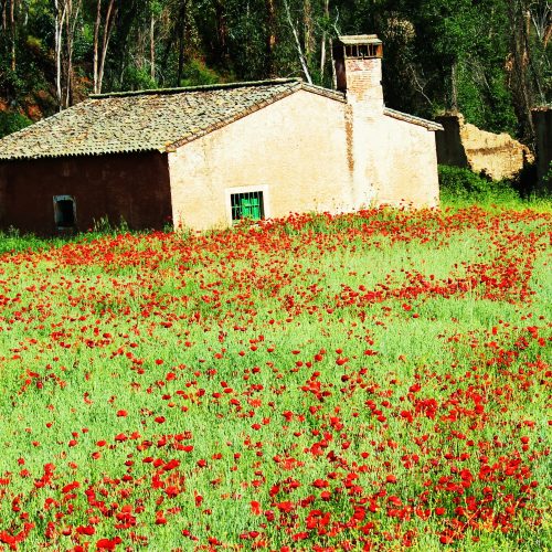 Alojamiento Rural en Cazalla de la Sierra para rutas por la naturaleza